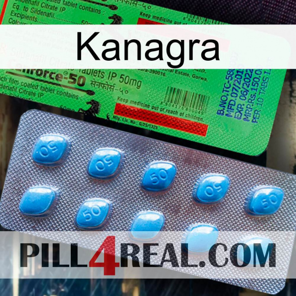 Kanagra new03.jpg